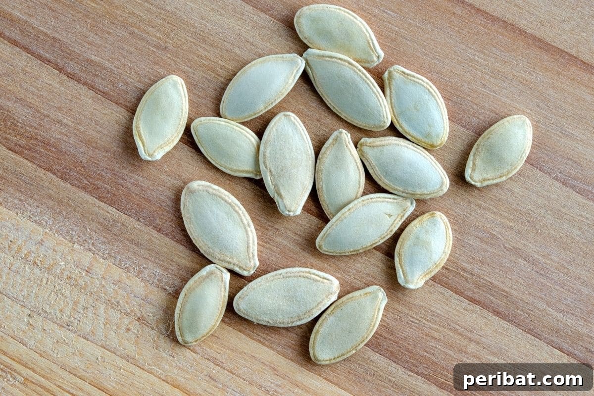 Zucchini seeds neatly arranged on a table, ready for storage or planting