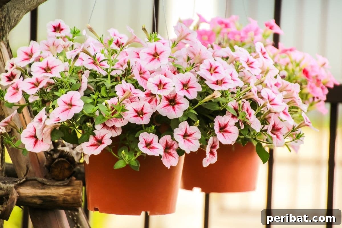 21 Flowers Your Vegetable Garden Needs to Thrive 21 Petunias in a hanging pot by the fence