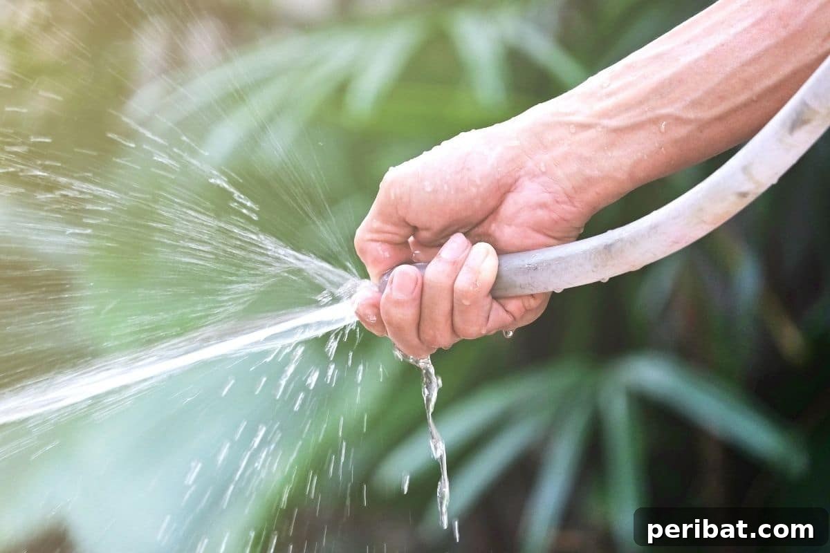 spraying water using a hose in the garden