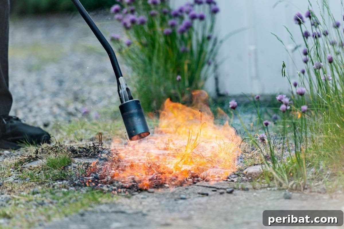 using Flame Weeder to burn and get rid of weeds in the garden