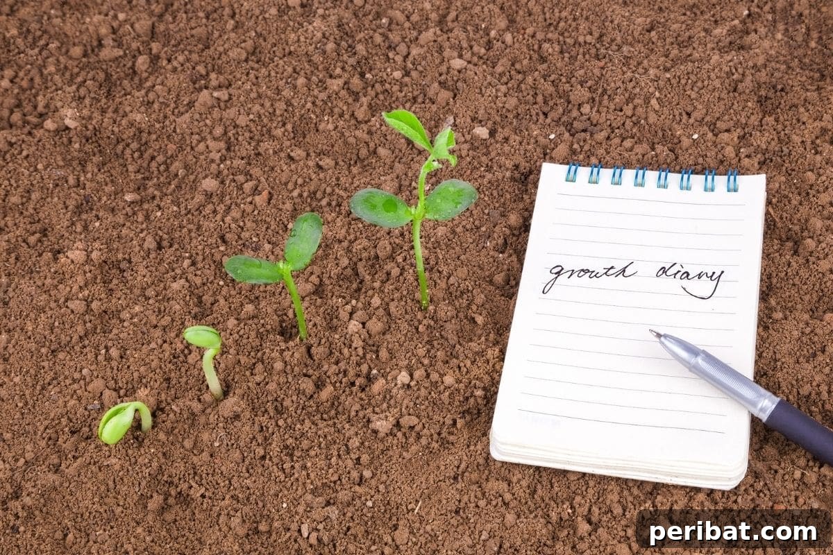 From Seed to Sprout: 20 Pitfalls to Avoid 20 growing seedlings, stages of seedlings beside a note book with pen, recording growth of plants, garden planning