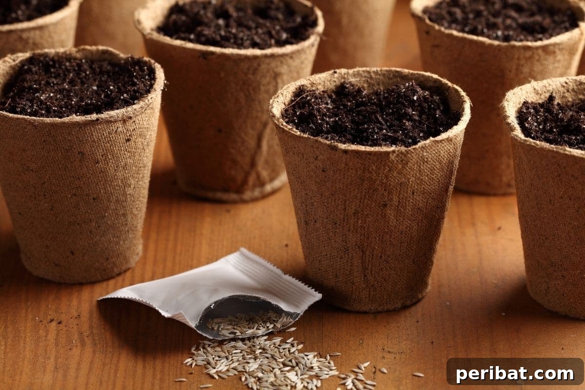 From Seed to Sprout: 20 Pitfalls to Avoid 4 spilled seeds in a table and biodegradable cups filled with soil in the table indoors