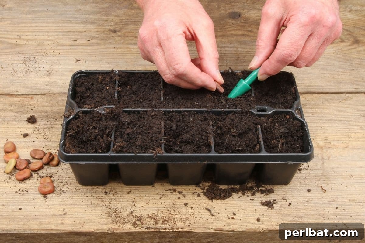 From Seed to Sprout: 20 Pitfalls to Avoid 8 planting and starting seeds in a container placed in a table indoors