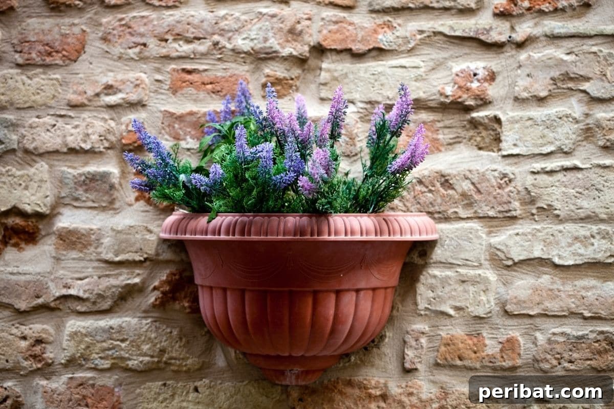 Effortless Blooms for Every Gardener 47 lavender in pot of a brick wall by the hallway