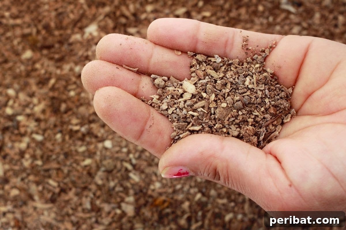Supercharge Your Garden: DIY Bone Meal for Bumper Harvests 8 bone fertilizer in hands