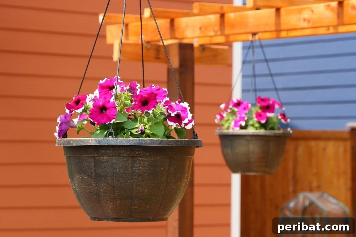 Vertical Oasis: 18 Creative Hanging Plant Ideas for Compact Living 11 Flowers in pot hanging in a pergola trellis