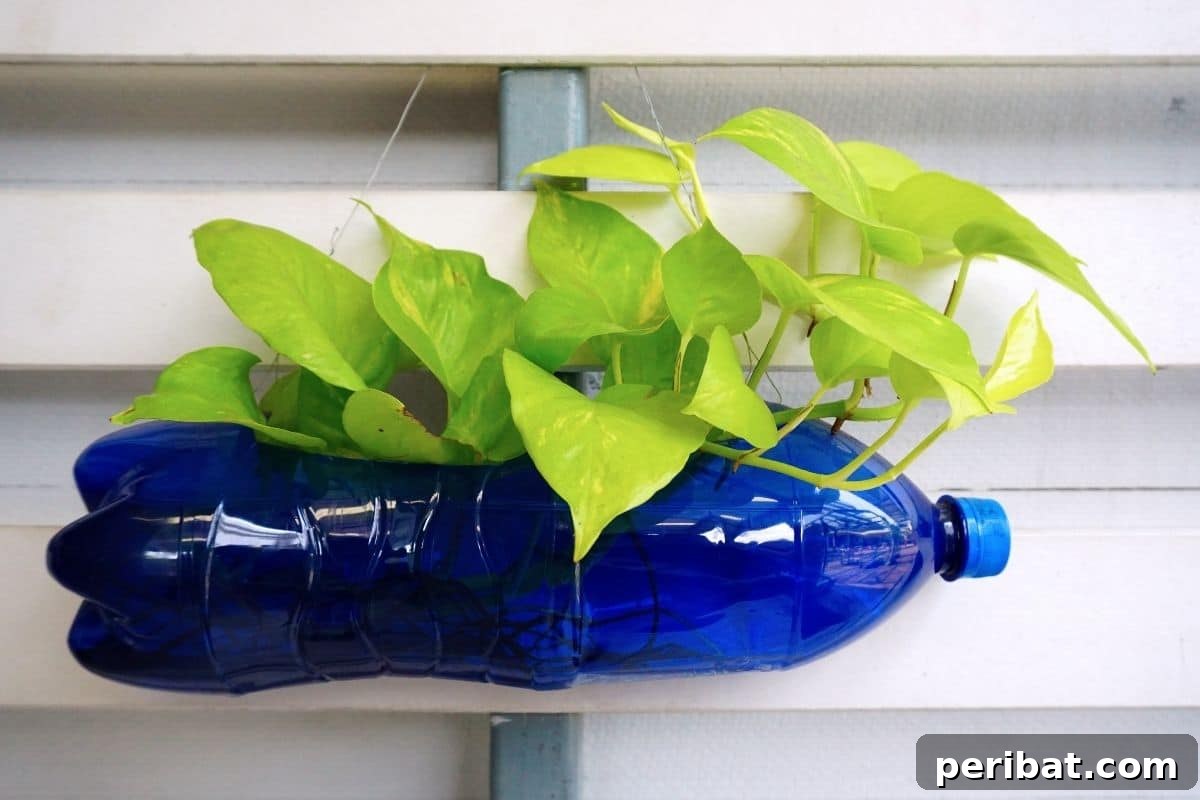 Vertical Oasis: 18 Creative Hanging Plant Ideas for Compact Living 13 DIY bottle planter, recycled bottle planter with growing plant