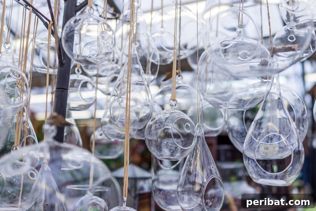 Vertical Oasis: 18 Creative Hanging Plant Ideas for Compact Living 15 hanging terrariums