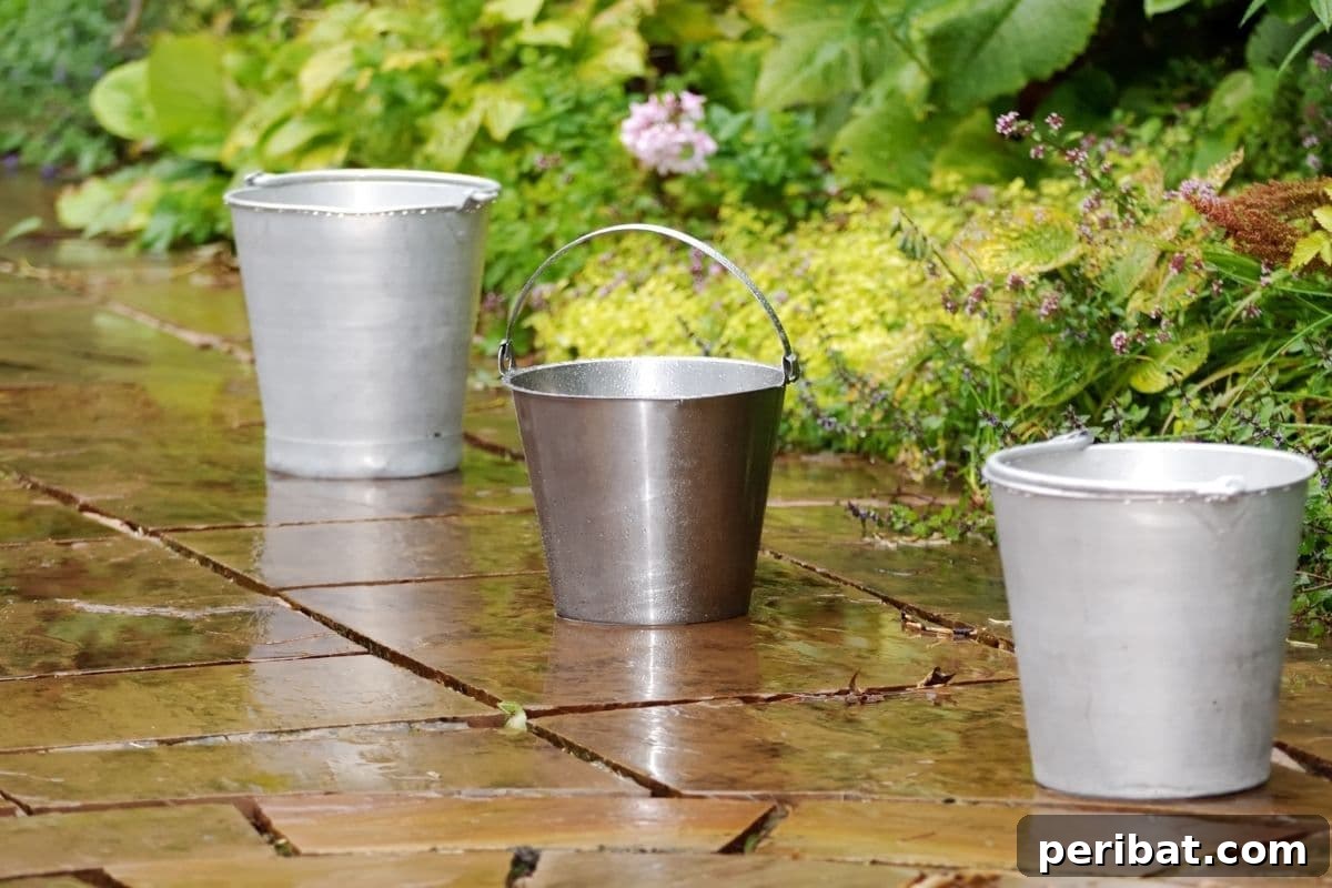 Vertical Oasis: 18 Creative Hanging Plant Ideas for Compact Living 18 lined up buckets after a rainfall in the garden hallway
