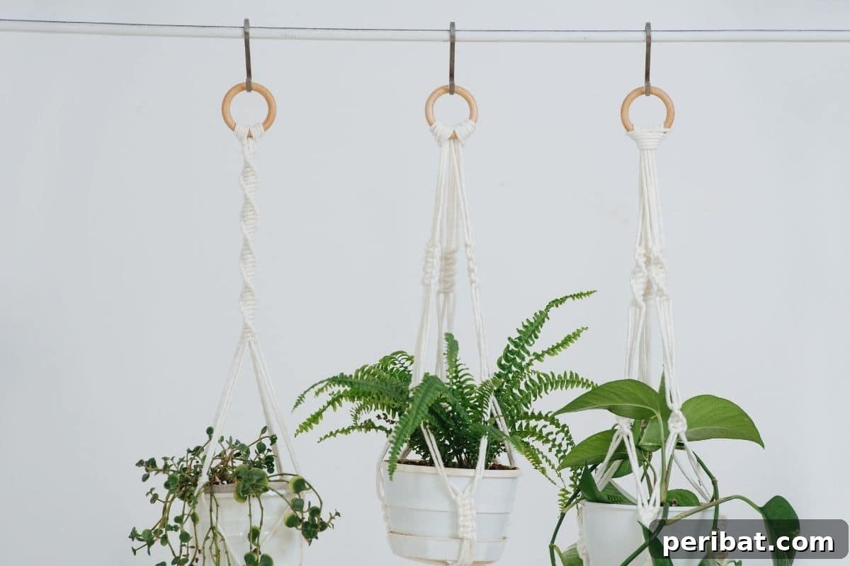 Vertical Oasis: 18 Creative Hanging Plant Ideas for Compact Living 6 macrame plant hanger