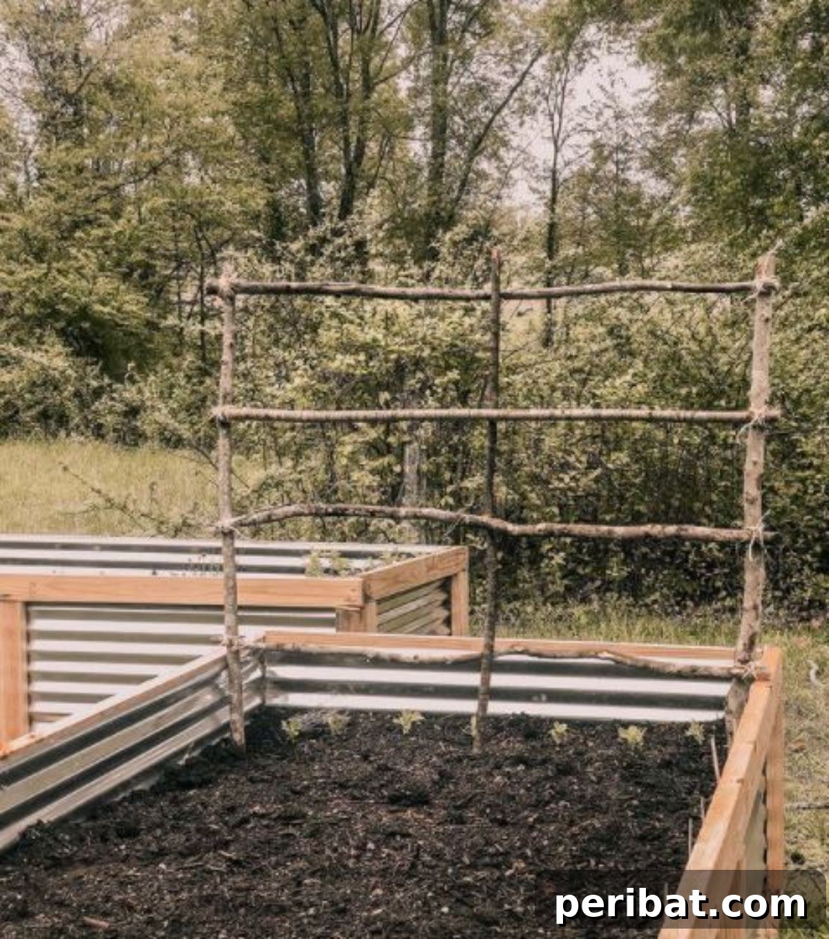 Unlock Your Garden's Potential: 6 Brilliant DIYs with Free Sticks and Twigs 3 raised bed with twig trellis in the garden preparing for planting