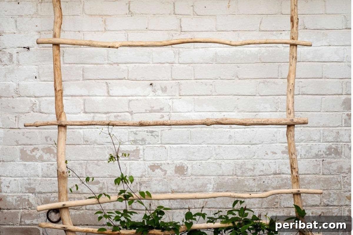 Unlock Your Garden's Potential: 6 Brilliant DIYs with Free Sticks and Twigs 7 ladder made of twigs to hang the plants or for vine plants