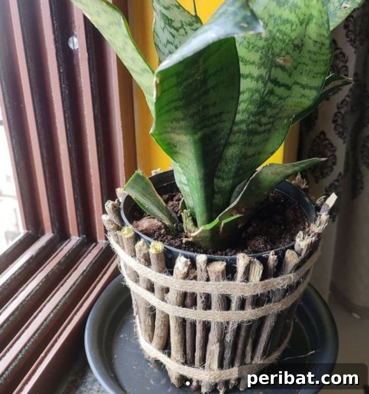 Unlock Your Garden's Potential: 6 Brilliant DIYs with Free Sticks and Twigs 8 twig pot, twig planter, pot holder made of twigs and stick by the window sill