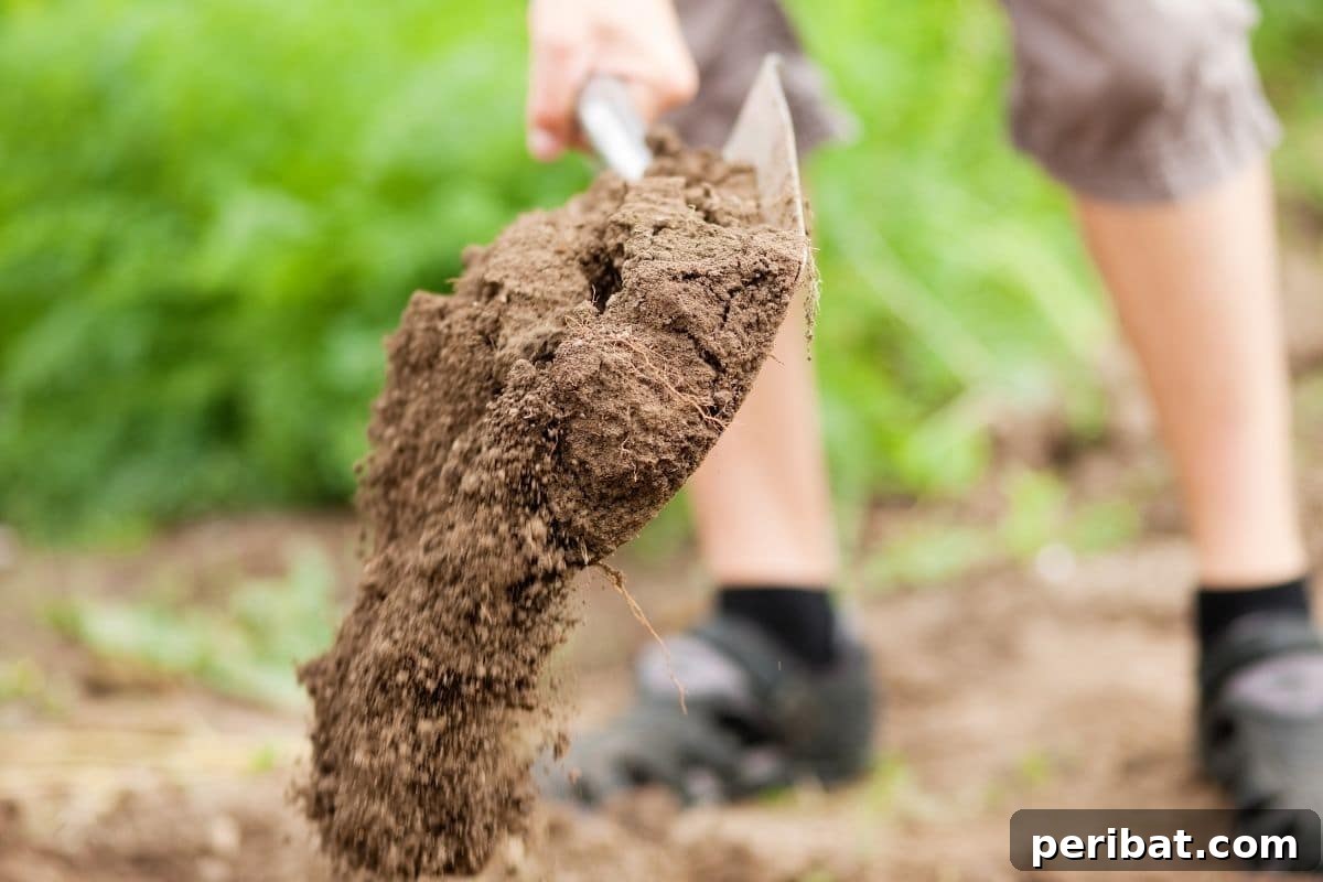 digging the soil in the garden bed to prepare the soil for planting