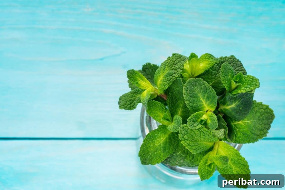 peppermint in a clear bowl placed in a blue table