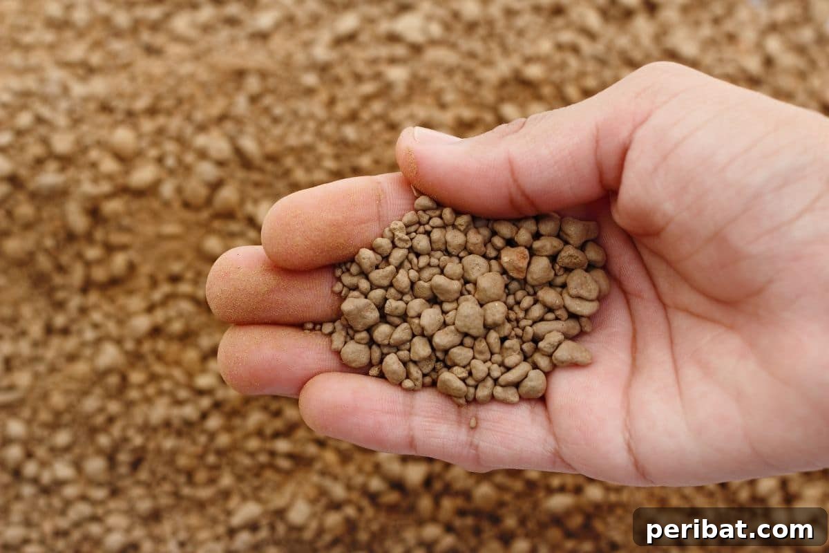 Gardener holding granular fertilizer in hands, ready to apply to plants.