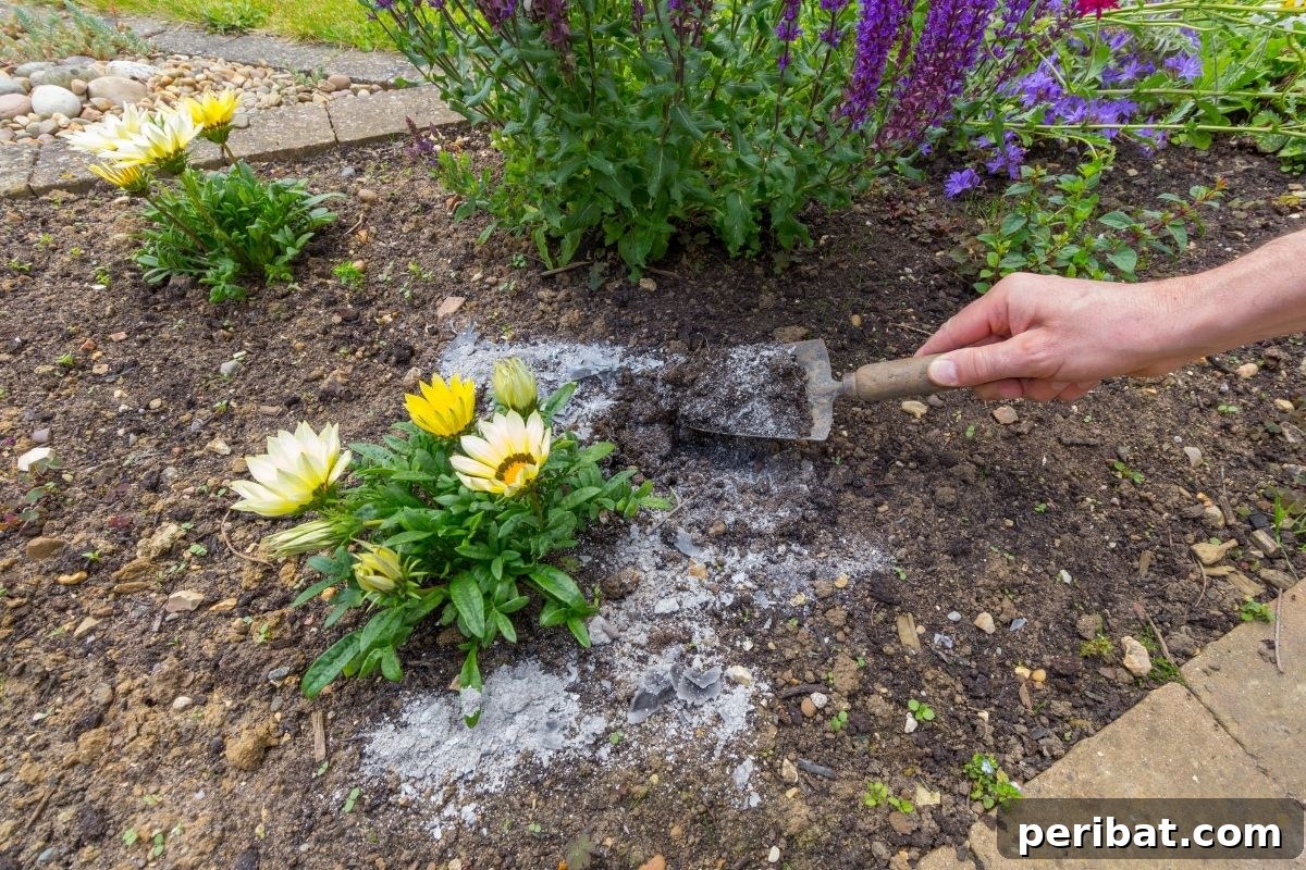 Boost Your Garden: 5 Wood Ash Uses and Storage Guide 5 Spreading wood ash around a plant to prevent slugs