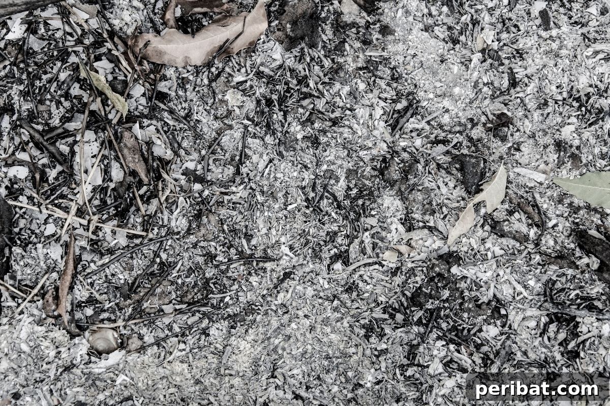 Boost Your Garden: 5 Wood Ash Uses and Storage Guide 8 Close-up of wood ash, emphasizing its texture