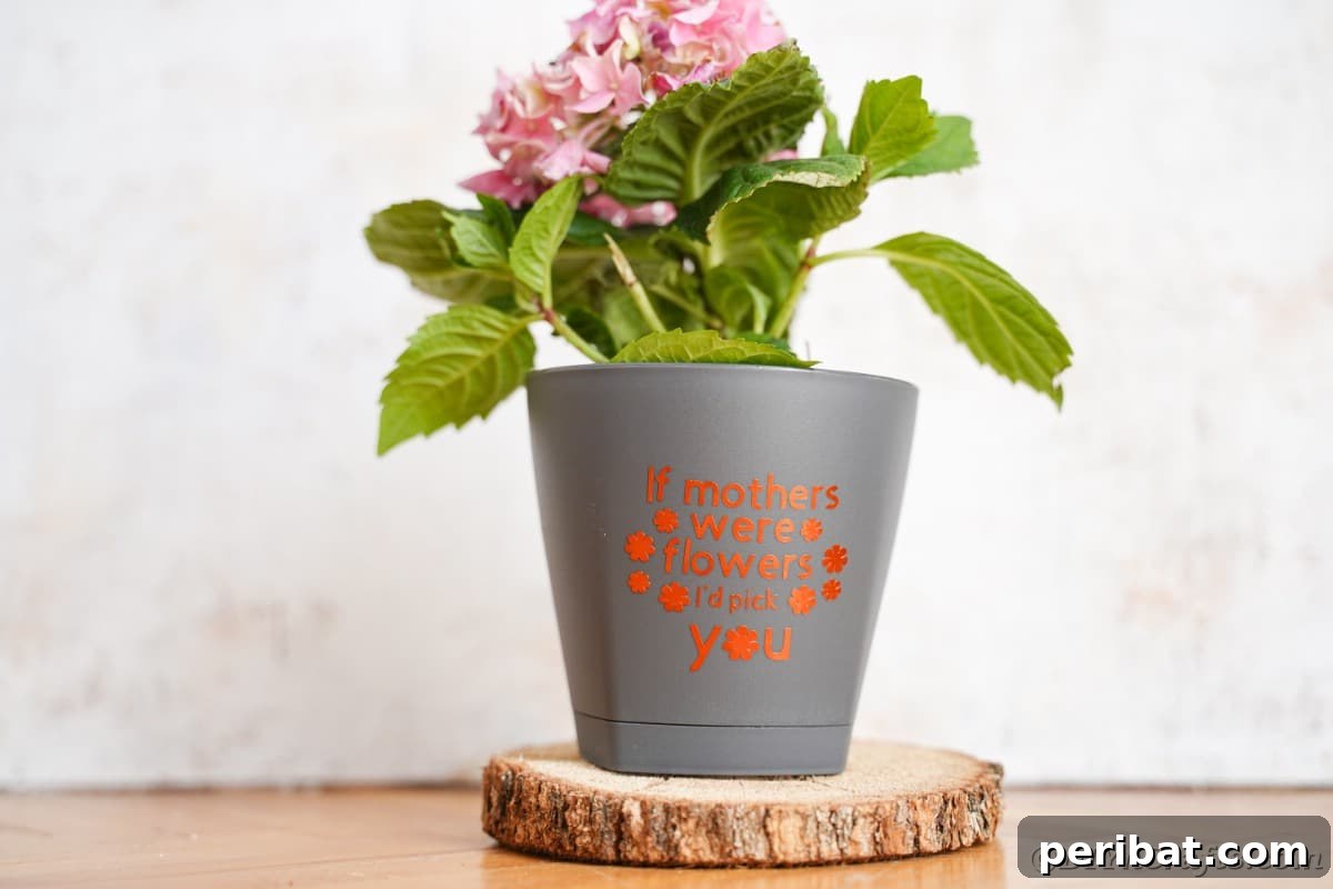 Gray flower pot with a vibrant orange message, showcasing personalized decor