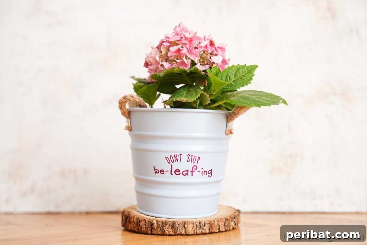 White flower pot against white wall on wood slice, highlighting clean lines and natural elements