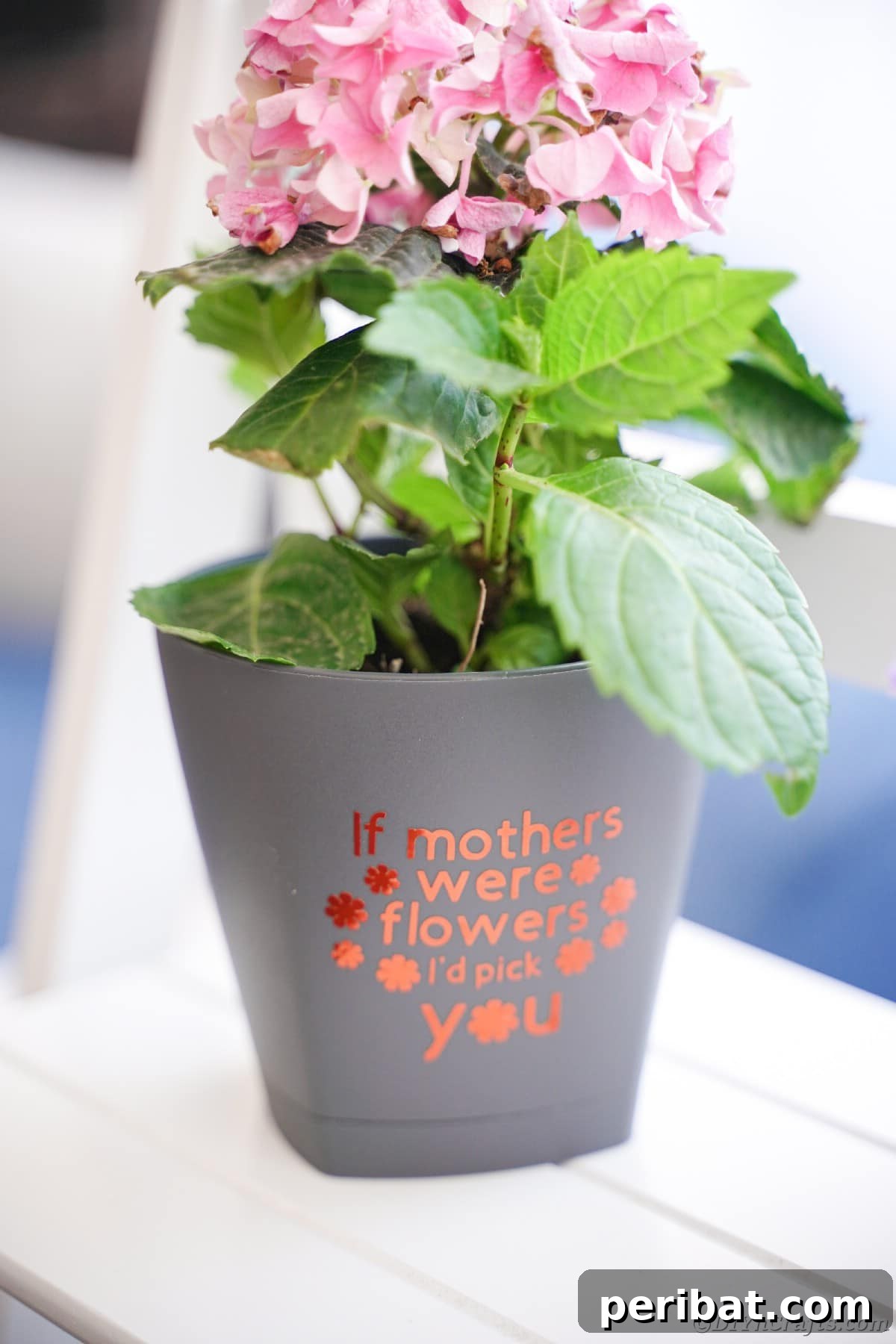 Gray flower pot on white shelf, showcasing simple and elegant home decor