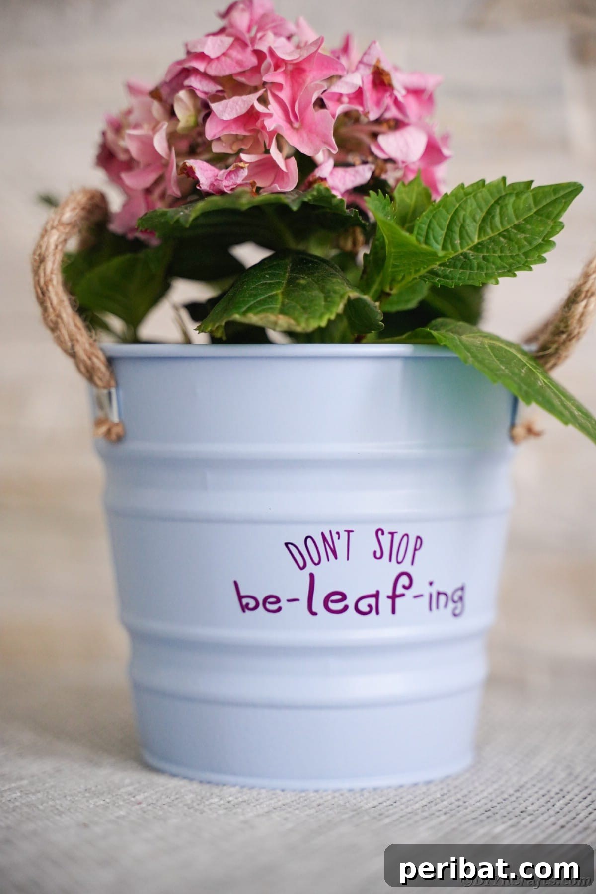 Light blue flower pot with a purple message, displaying a vibrant color combination