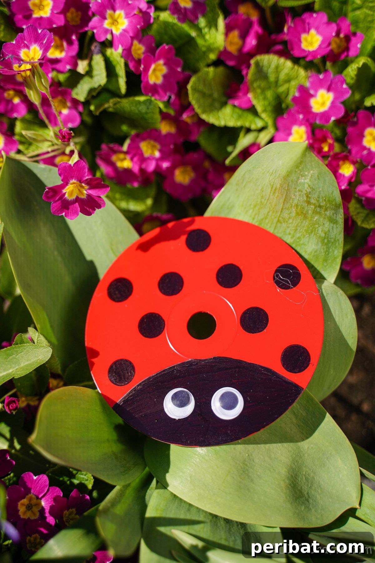A vibrant red and black upcycled CD ladybug decoration resting on lush greenery in a garden setting, showcasing its potential as charming outdoor decor.