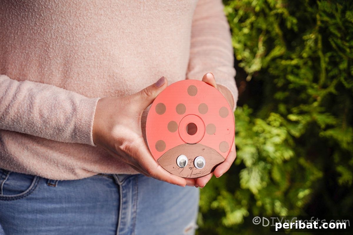 A person holding a newly crafted upcycled CD ladybug in their hands, ready for display.