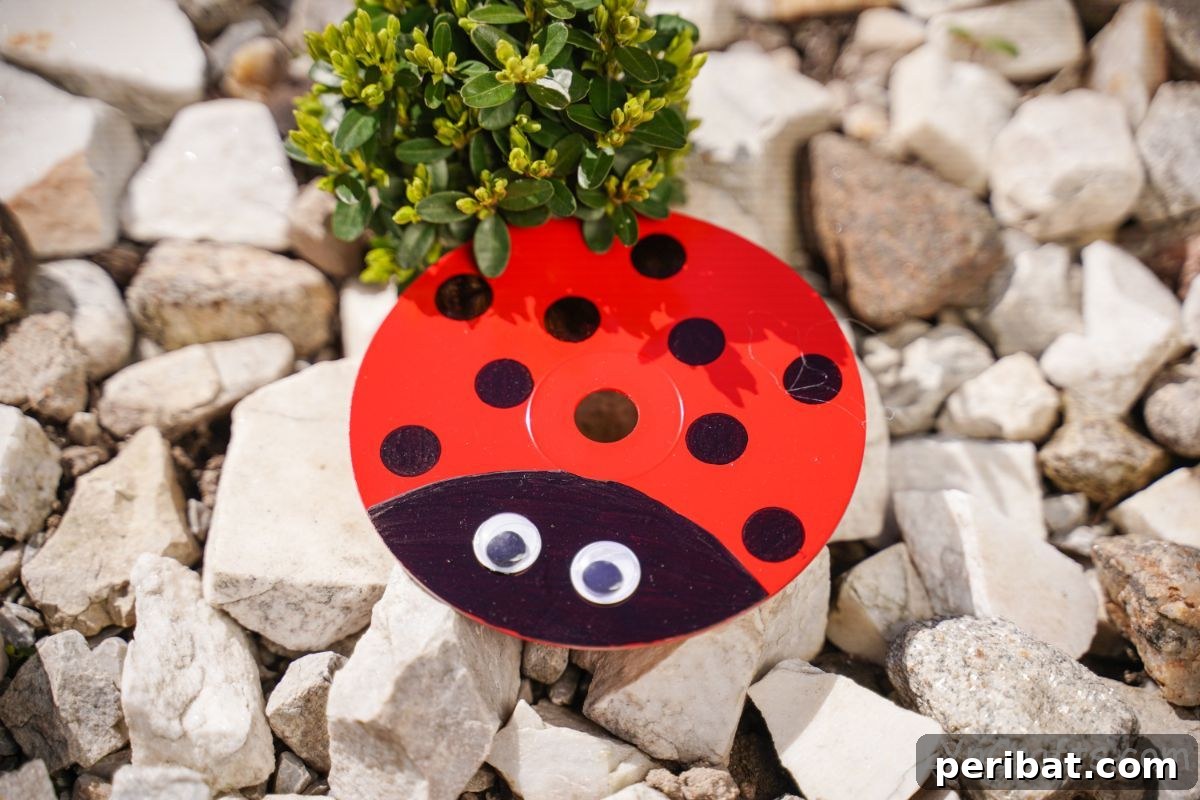 A painted CD crafted into a ladybug, complete with black spots and head, resting on a bed of small decorative rocks.