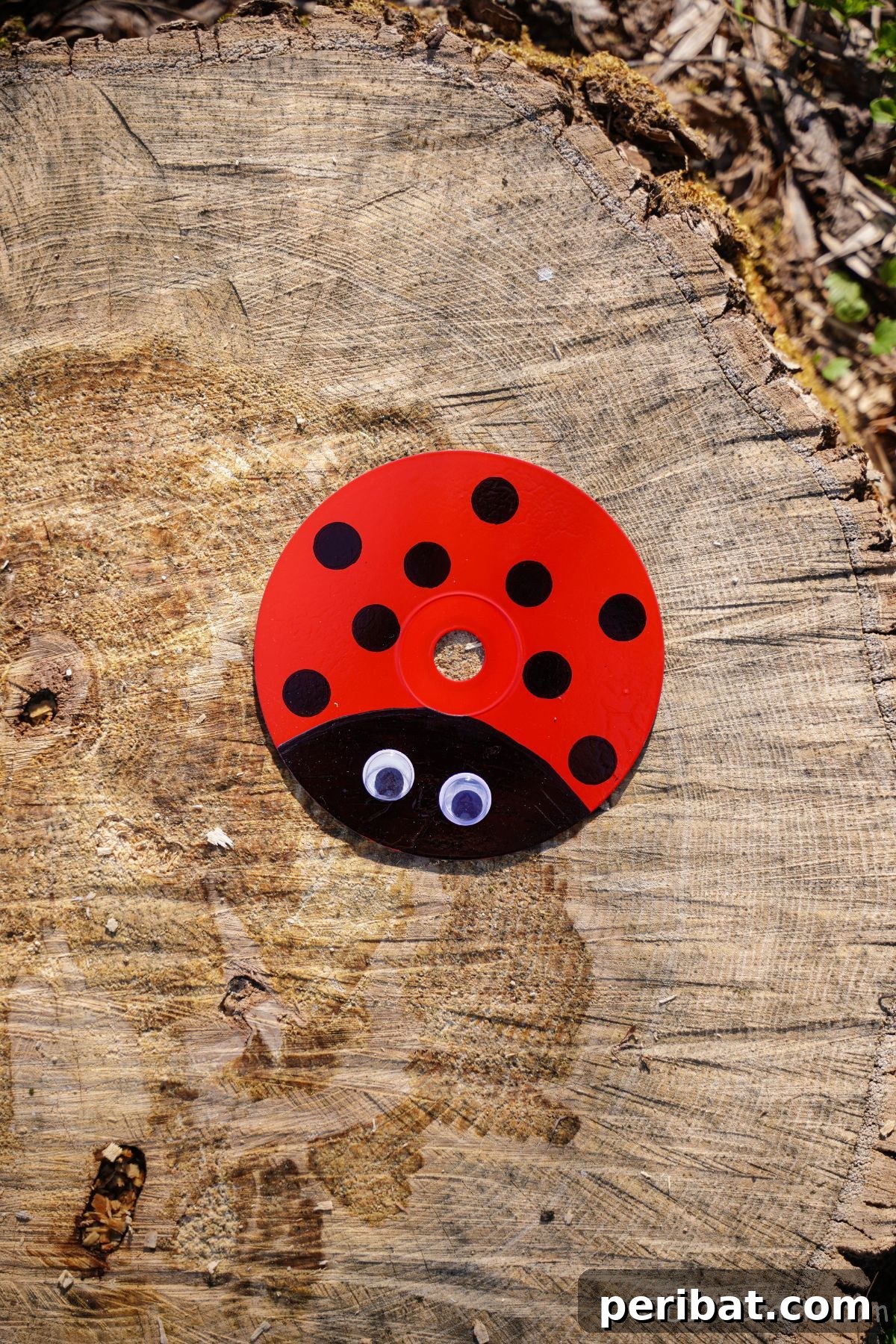 An upcycled CD ladybug decoration resting on a tree stump, showing its adaptability for natural settings.