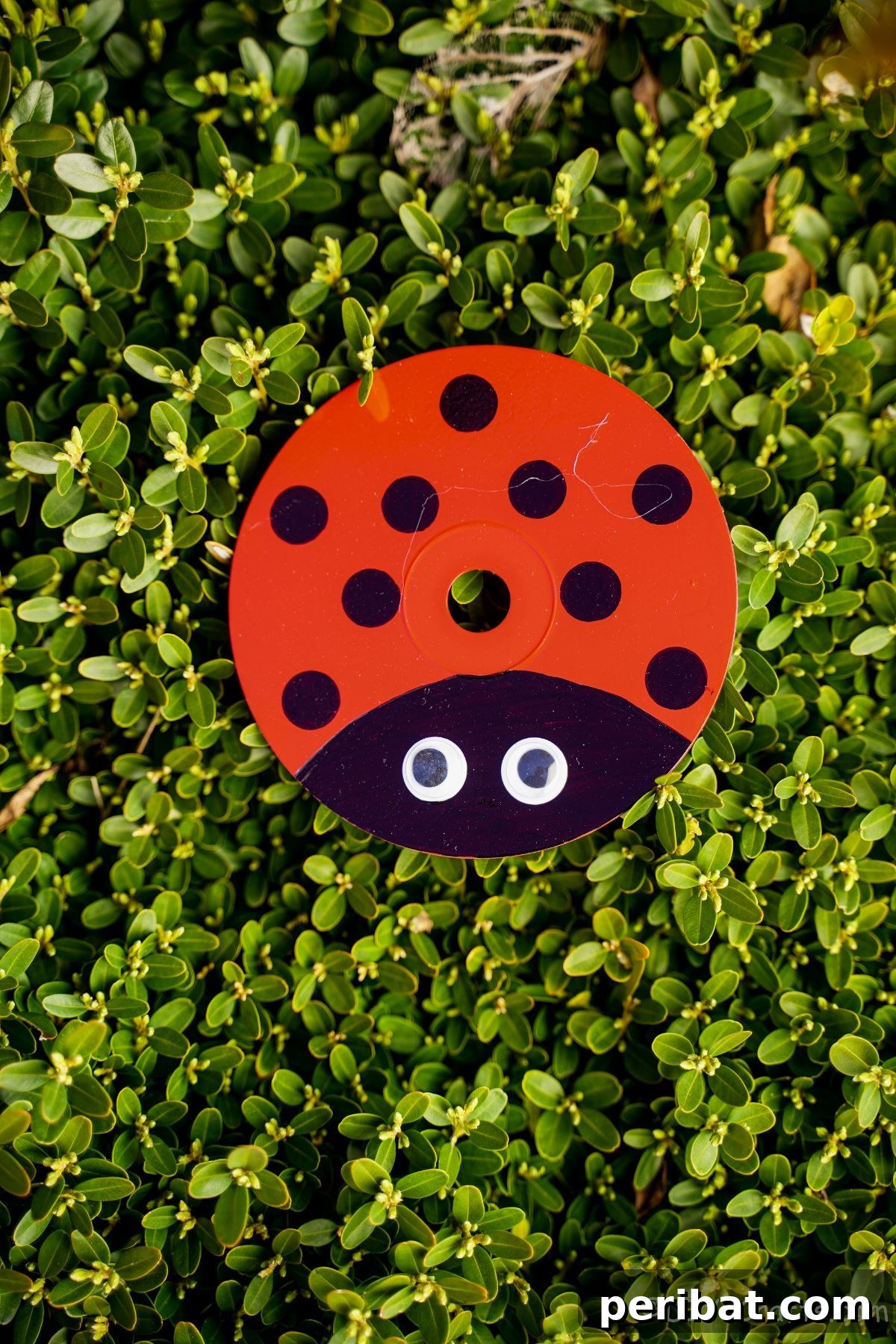 An upcycled CD transformed into a ladybug, placed delicately on a bed of clover, highlighting its charm as a garden accent.
