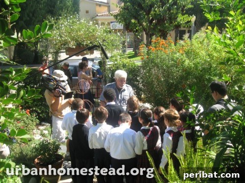 6,000lbs Of Food Produced Yearly On 1/10 Of An Acre. This Family Is Incredible!