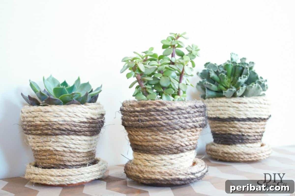 27 Terracotta Crafts to Elevate Your Outdoor Decor 7 DIY Sisal Rope Planters, showcasing terra cotta pots wrapped with natural sisal rope.