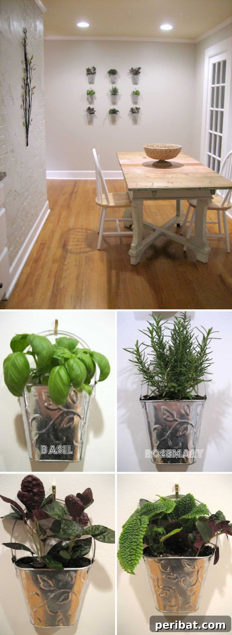 Indoor Garden Wall
