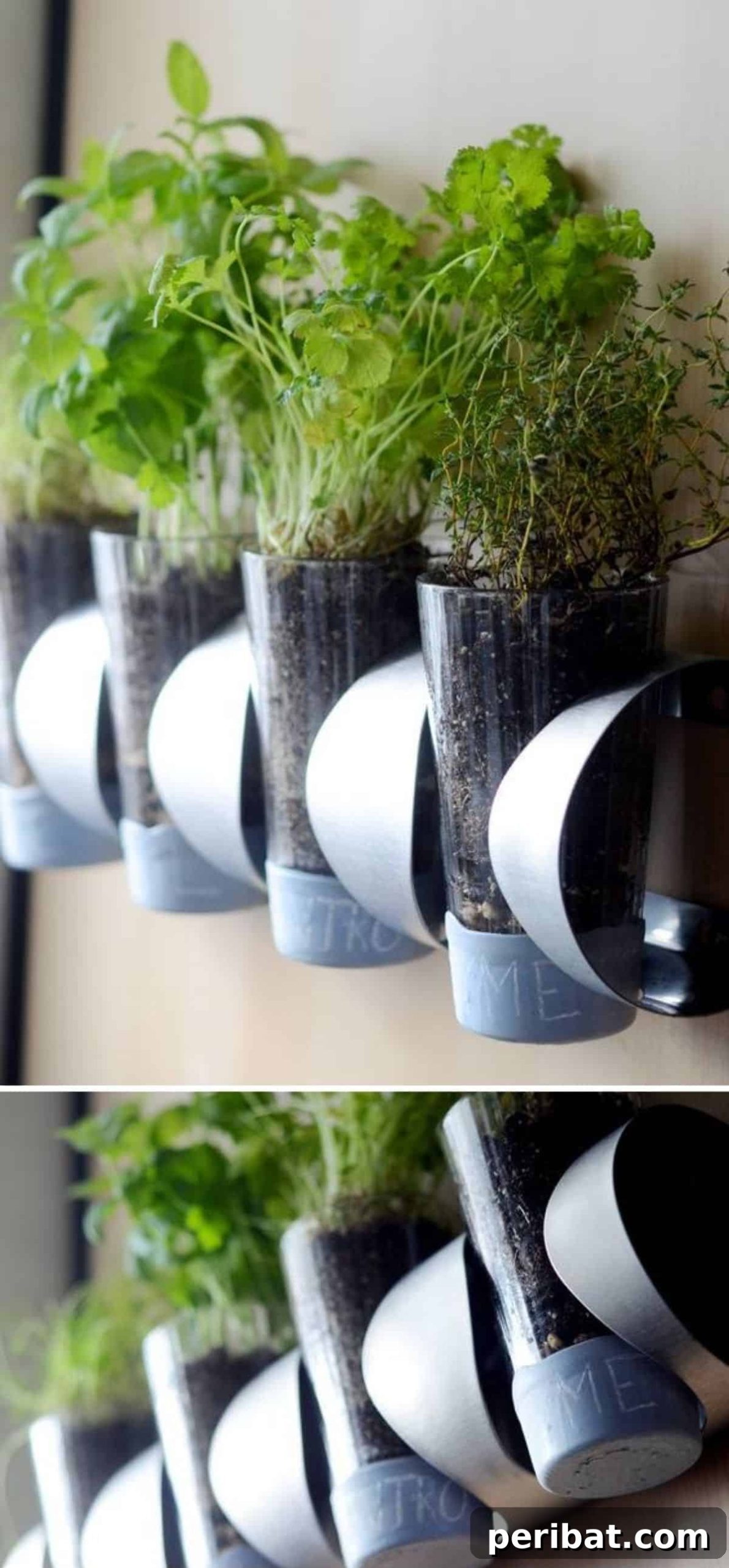 Wine Bottle Holder