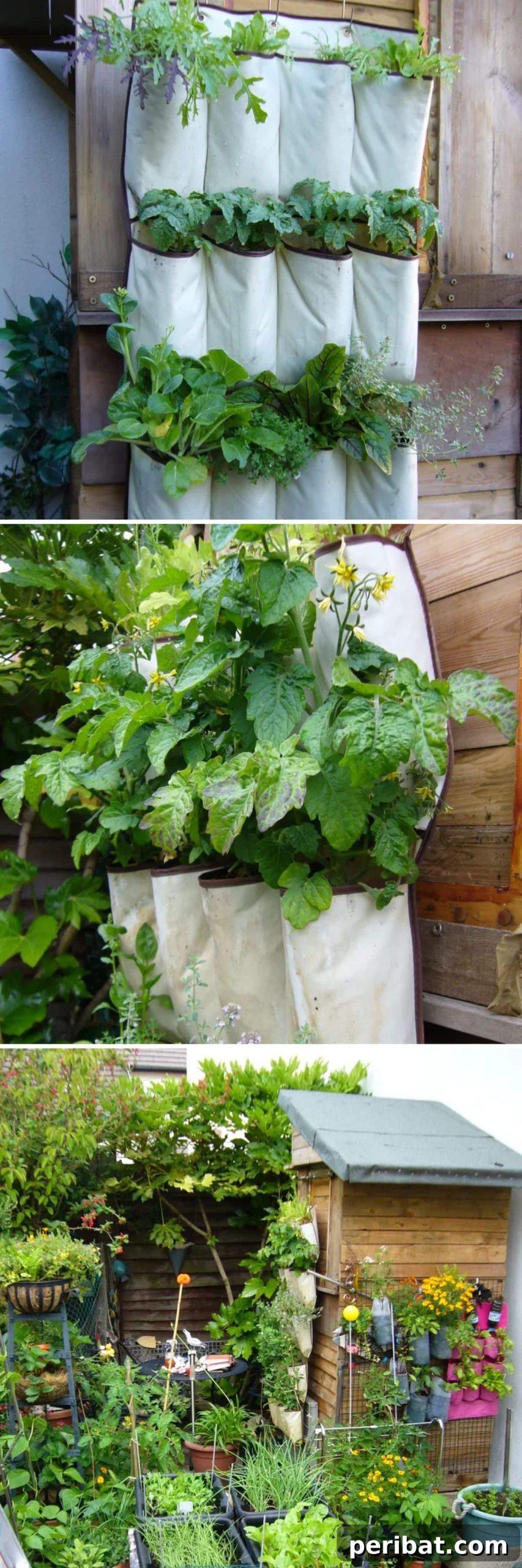Shoe Organizer Planter