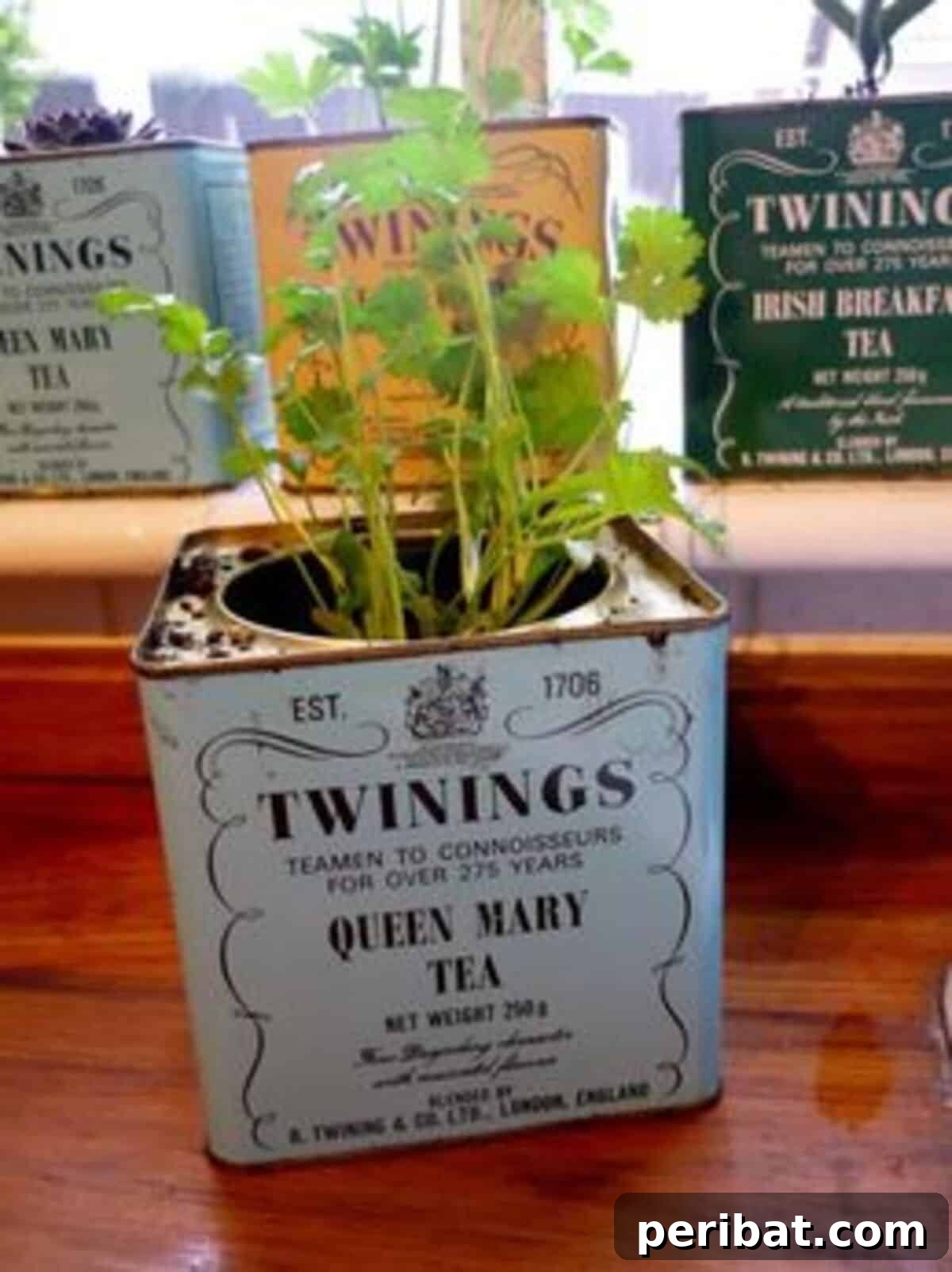 Repurposed Planter