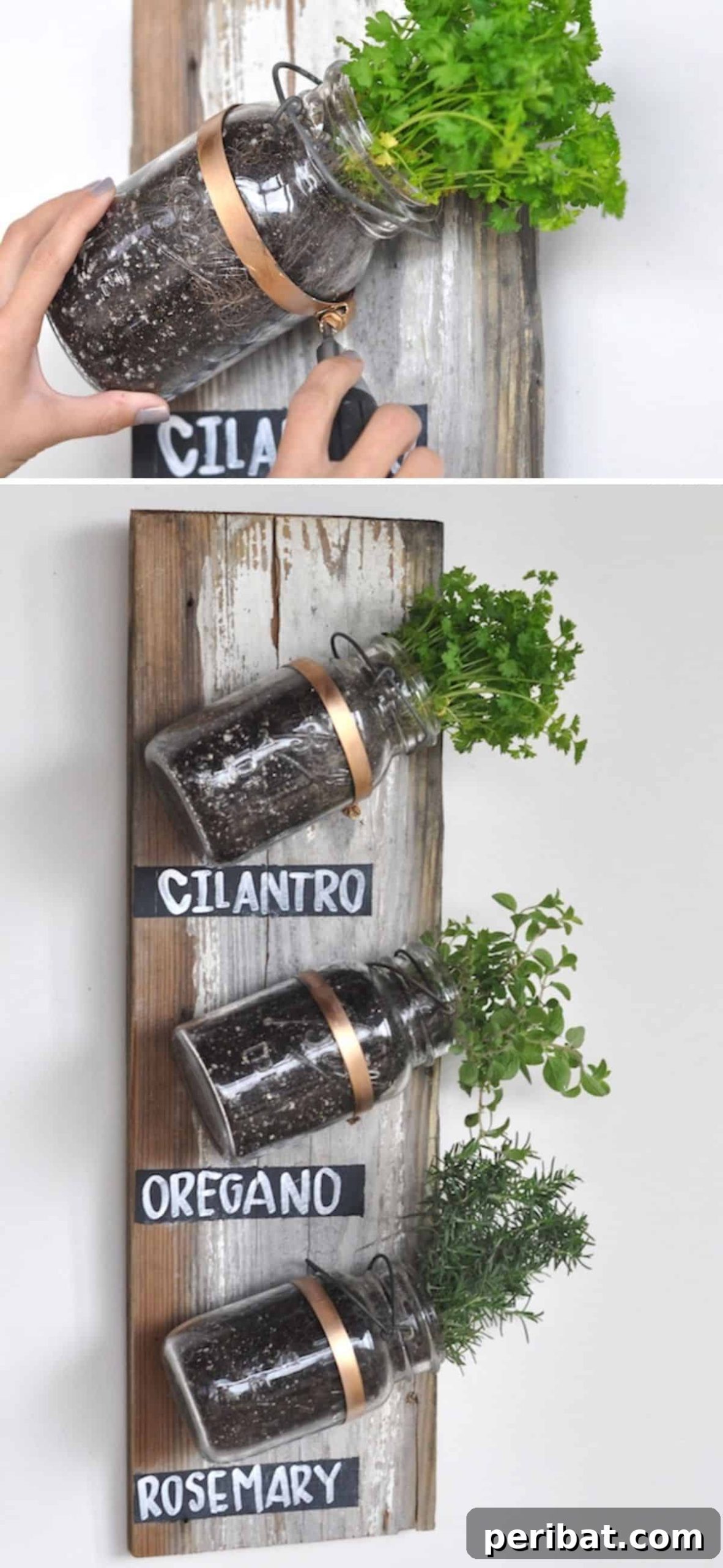 Mason Jar Garden