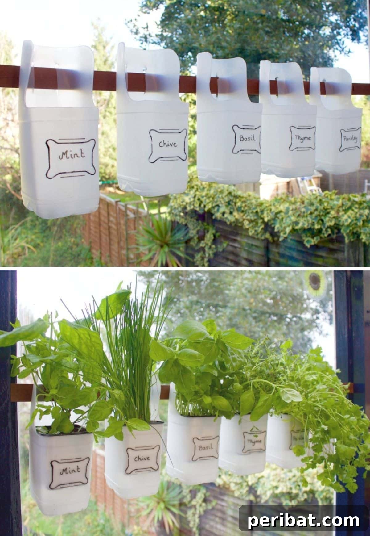 Milk Bottles Indoor Herb Garden