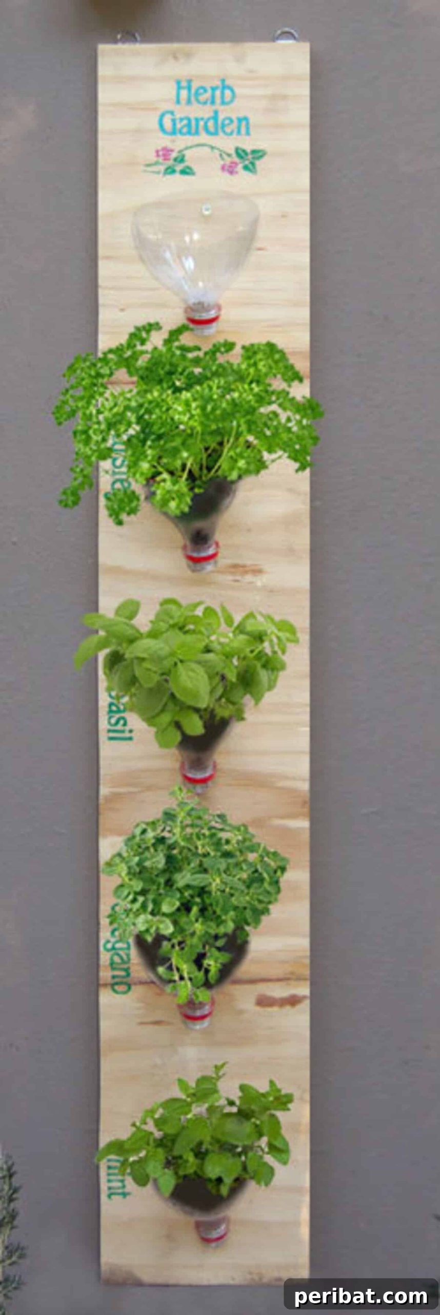 Bottle-Top Vertical Garden