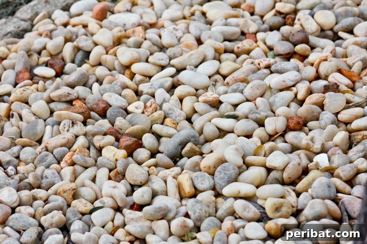 Chicken-Powered Gardening: 20 Essential Tips 16 Flat stones used as a protective mulch around plants, deterring chickens from digging