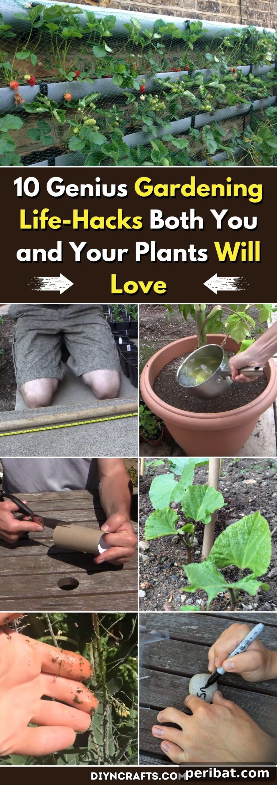 10 Ingenious Garden Hacks to Make Your Plants Thrive and Your Life Easier 2 10 Genius Gardening Life-Hacks Both You and Your Plants will Love pinterest image