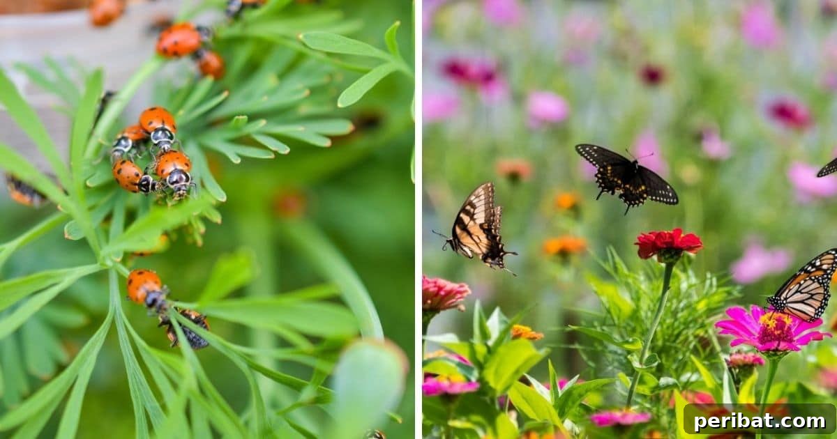 11 Natural Pest Control Powerhouses for Your Garden 2 A close-up of a buzzing bee collecting nectar from a vibrant purple flower in a sunny garden.