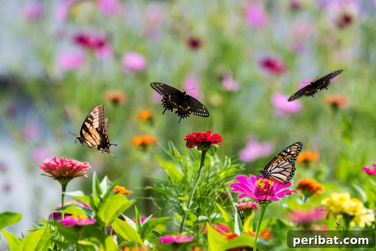 11 Natural Pest Control Powerhouses for Your Garden 4 A group of colorful butterflies gracefully feeding on zinnia flowers in a sun-drenched field.
