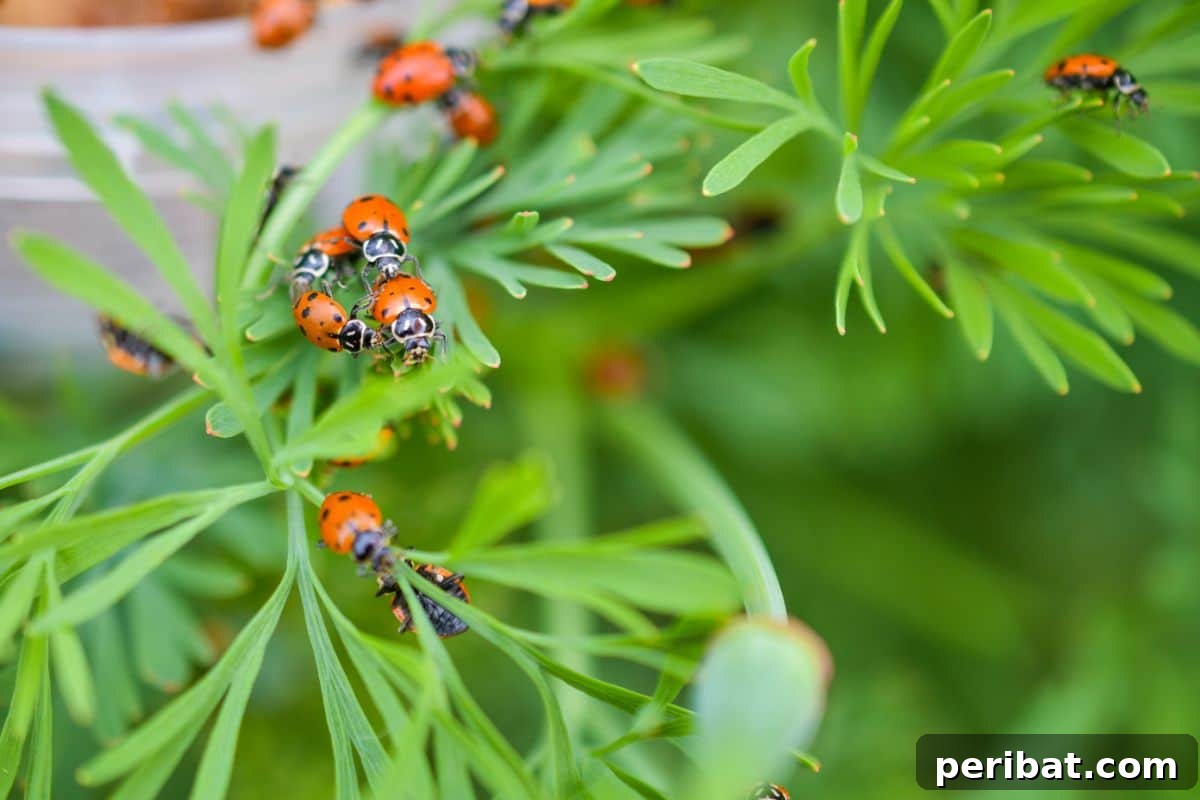 11 Natural Pest Control Powerhouses for Your Garden 7 A cluster of ladybugs resting on a vibrant green leaf in a lush garden, showcasing their predatory nature.