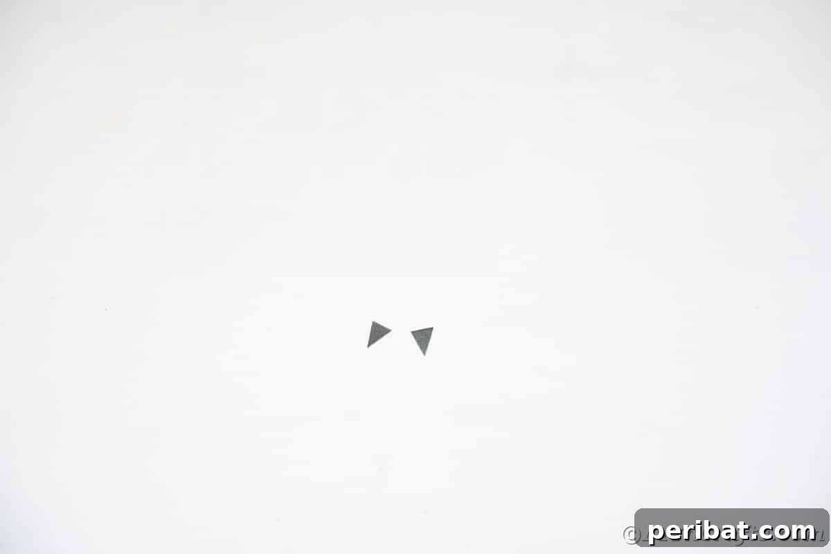 Tiny black triangles of paper on white table
