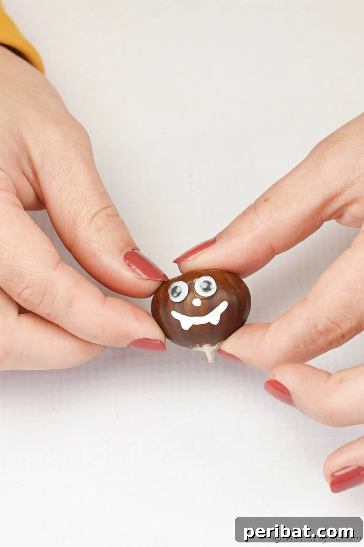 Hands holding chestnut bat face