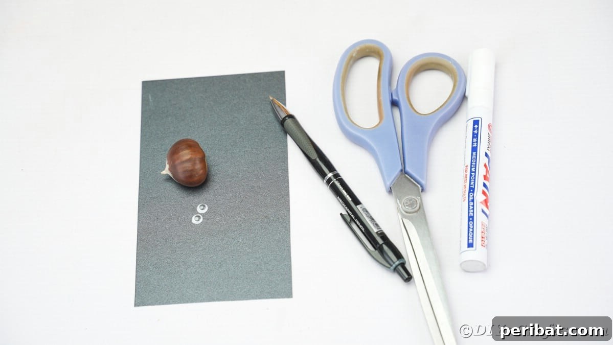 Black paper chestnut scissors and pen on white table