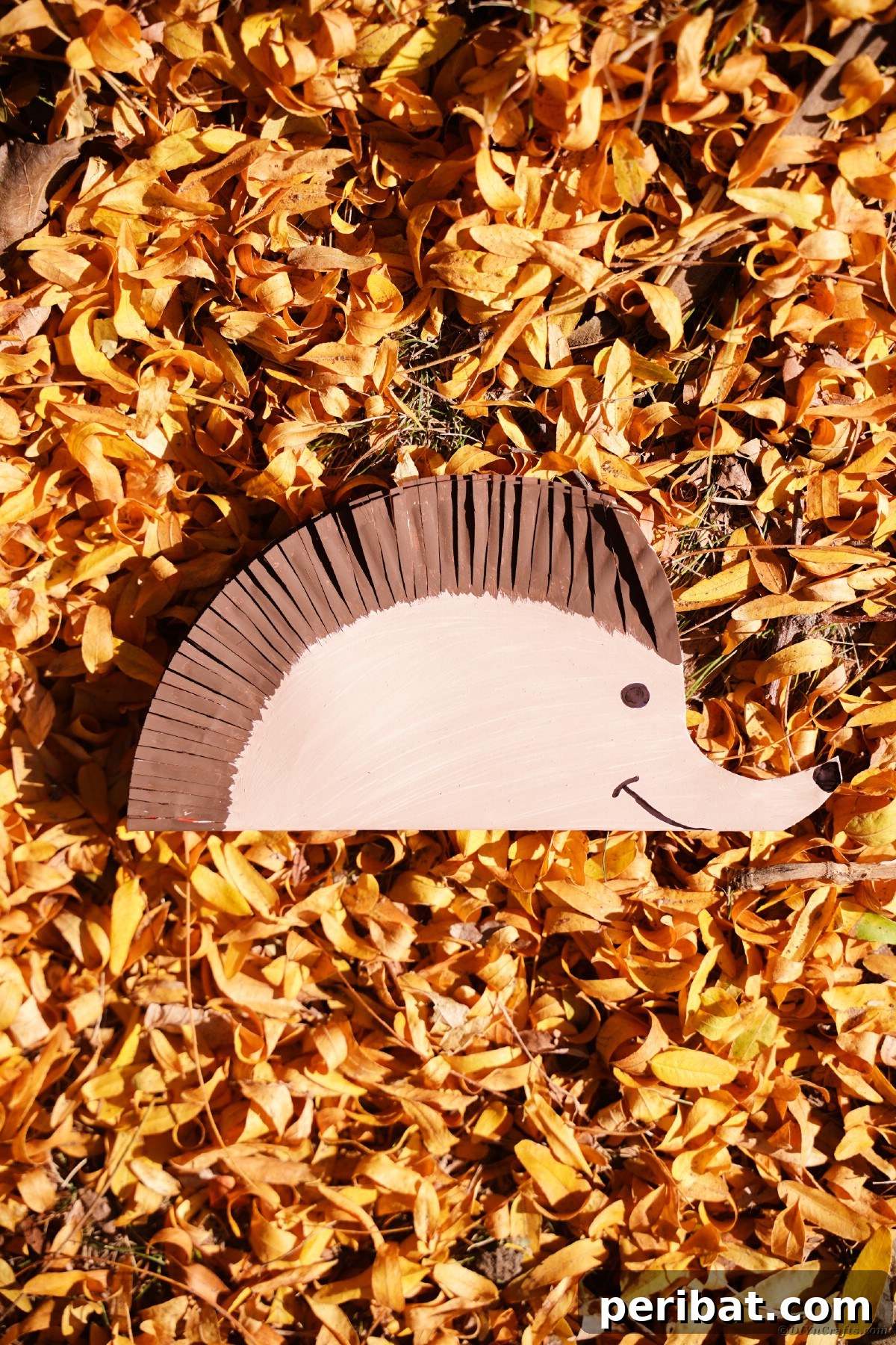 Yellow and gold leaves on ground topped by a paper hedgehog decoration