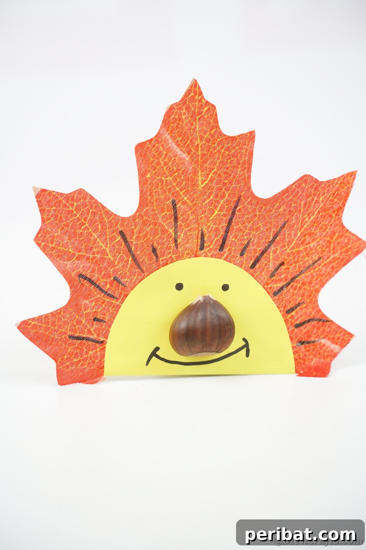 Fake leaf face with chestnut nose on white table with rustic background